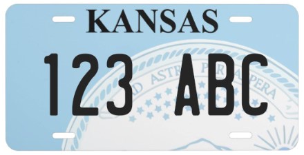 Treasurer license plate